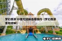 梦幻西游3D普陀经脉选择技巧（梦幻西游 普陀经脉）