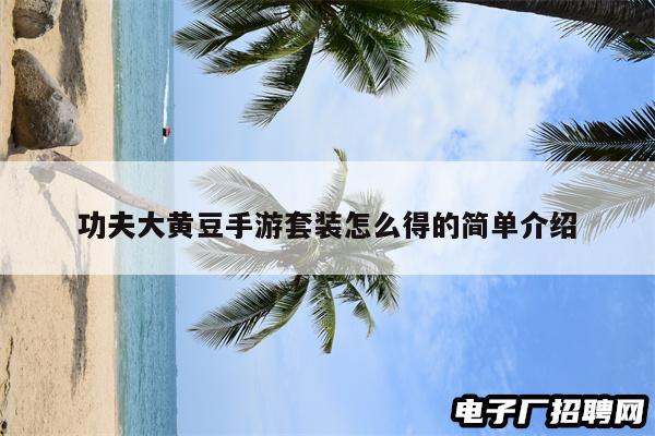 功夫大黄豆手游套装怎么得的简单介绍