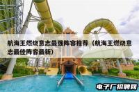 航海王燃烧意志最强阵容推荐（航海王燃烧意志最佳阵容最新）