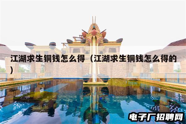 江湖求生铜钱怎么得（江湖求生铜钱怎么得的）