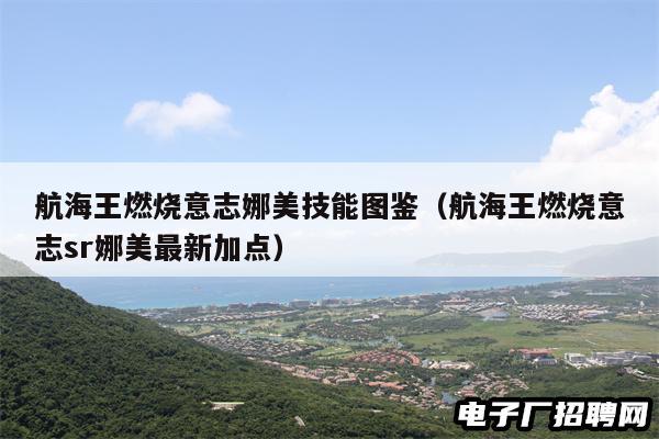 航海王燃烧意志娜美技能图鉴（航海王燃烧意志sr娜美最新加点）